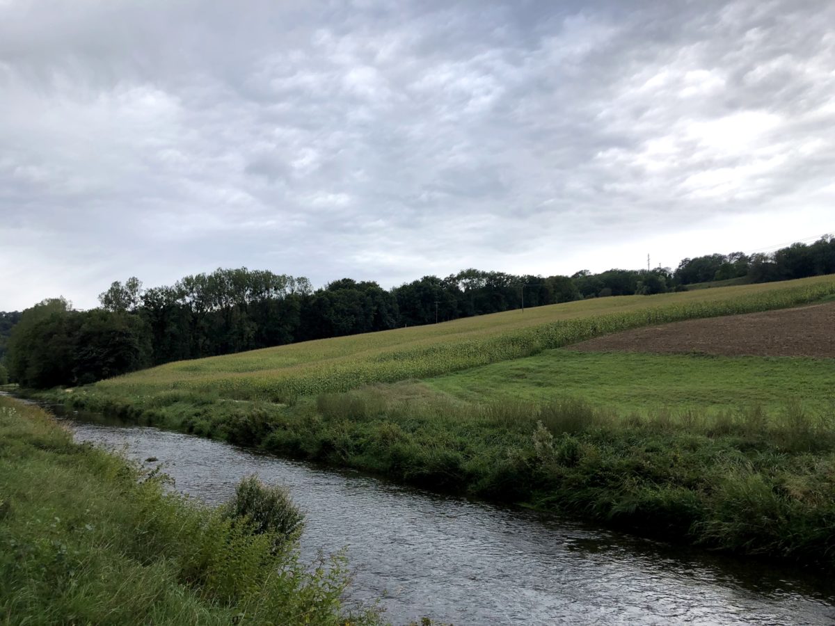 Renaturation Venoge - Lussery-Villars