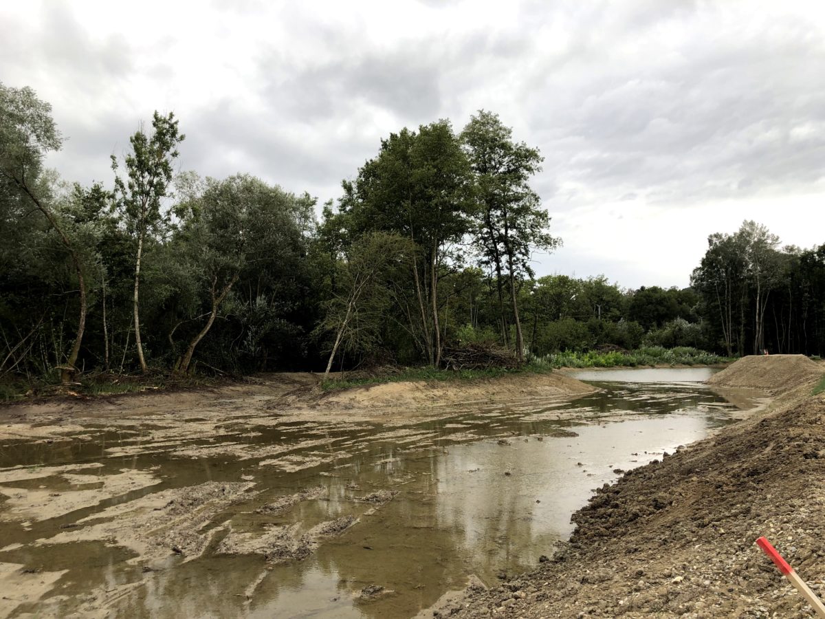 Renaturation Venoge - Lussery-Villars