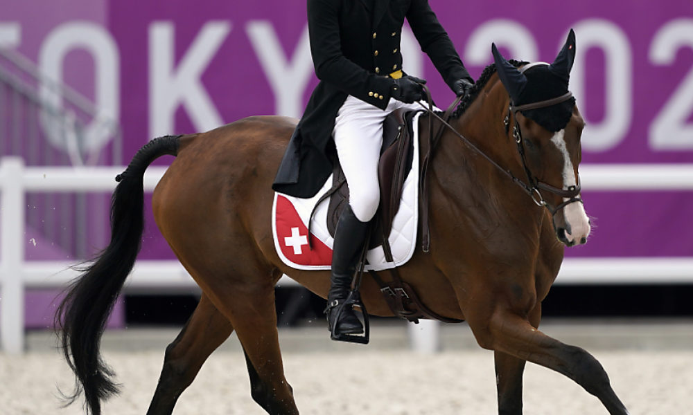 Robe D'équitation Légère Jalapeno, Couleurs Noir Ou Camouflage, Qualité