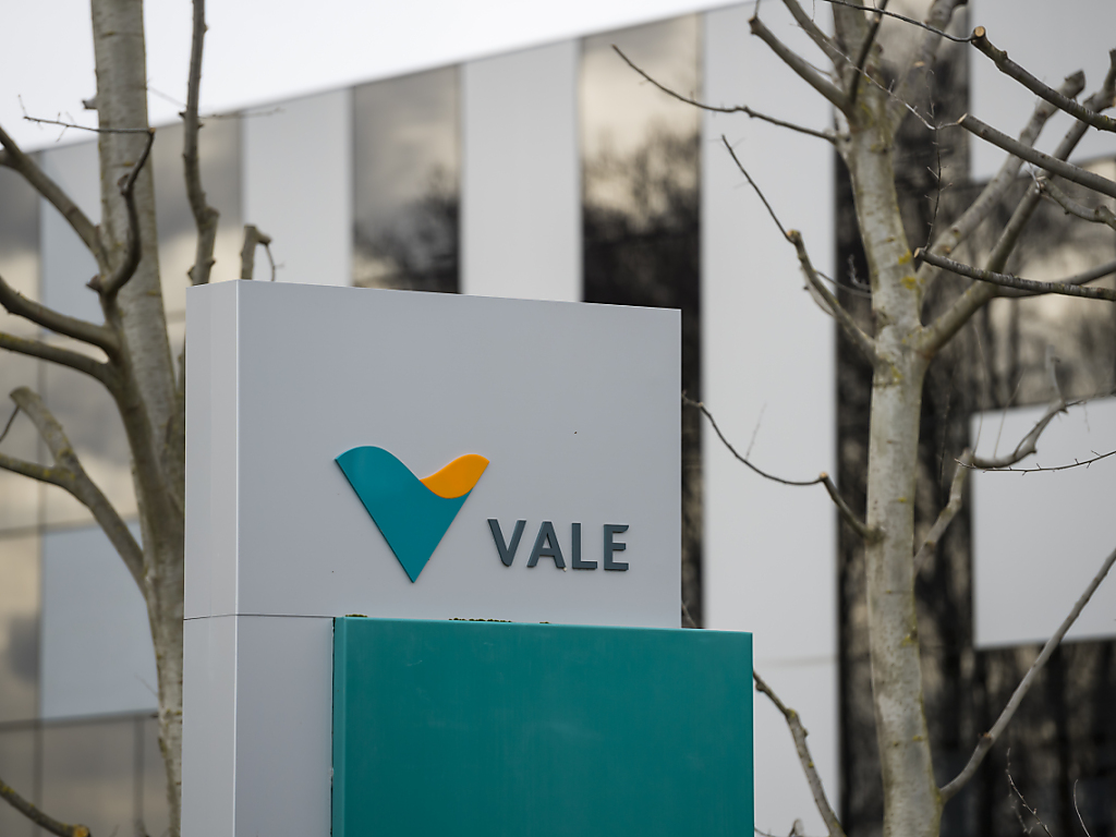 Vale sa. Vale (бразильская компания). Vale Company