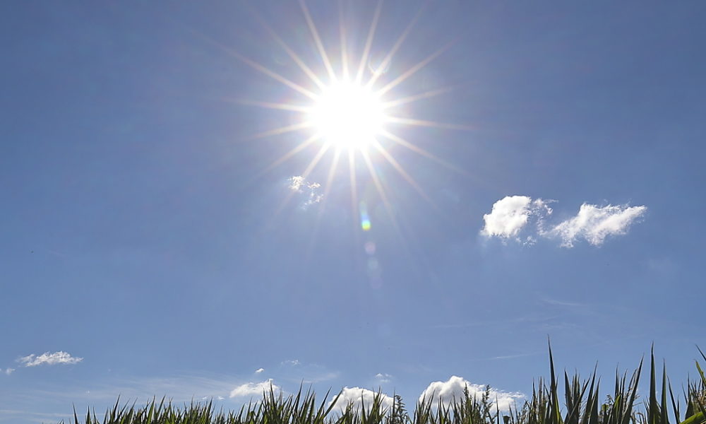 Record de chaleur "absolu" pour un mois de novembre au Québec LFM la