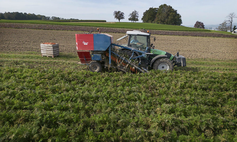 La Suisse a assez de terres pour garantir sa sécurité alimentaire La Suisse a assez de terres pour garantir sa sécurité alimentaire