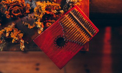 Instrument Kalimba