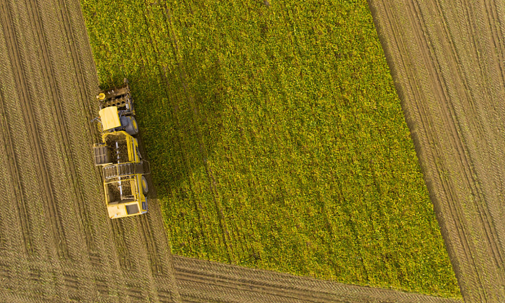 Vaud propose 40 millions pour l’agriculture et la viticulture Vaud propose 40 millions pour l’agriculture et la viticulture