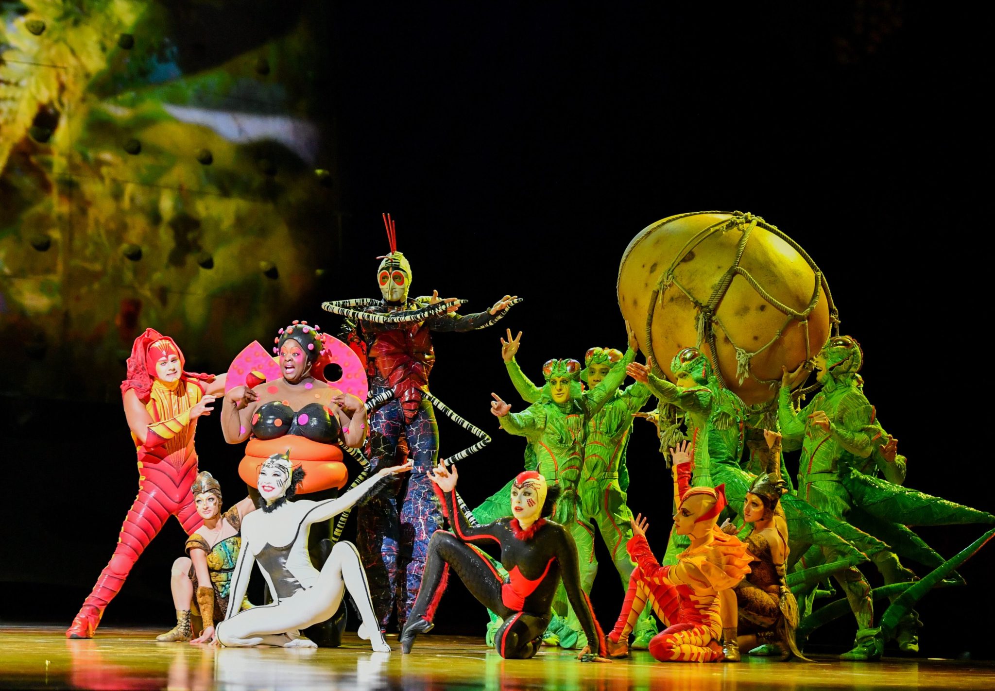 OVO, Cirque du Soleil, Vaudoise aréna