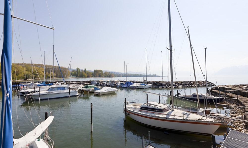 Site de Dorigny: projet-pilote pour renaturer les rives du Léman Site de Dorigny: projet-pilote pour renaturer les rives du Léman
