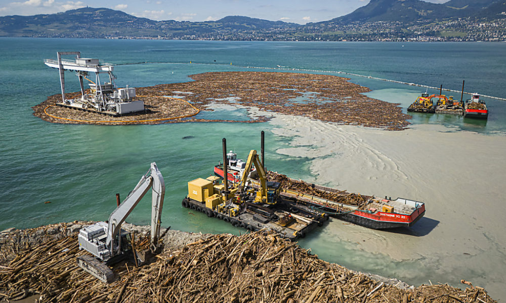 Entre 7000 et 9000 m3 de bois à retirer du Léman au Bouveret (VS) Entre 7000 et 9000 m3 de bois à retirer du Léman au Bouveret (VS)