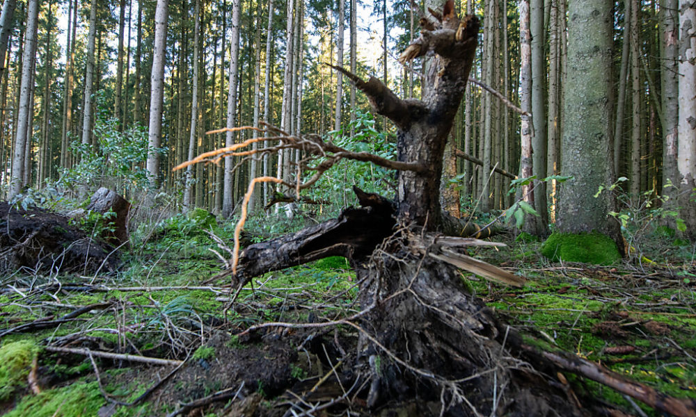 Protection de l’environnement: 2,2 milliards pour 2025-2028 Protection de l’environnement: 2,2 milliards pour 2025-2028