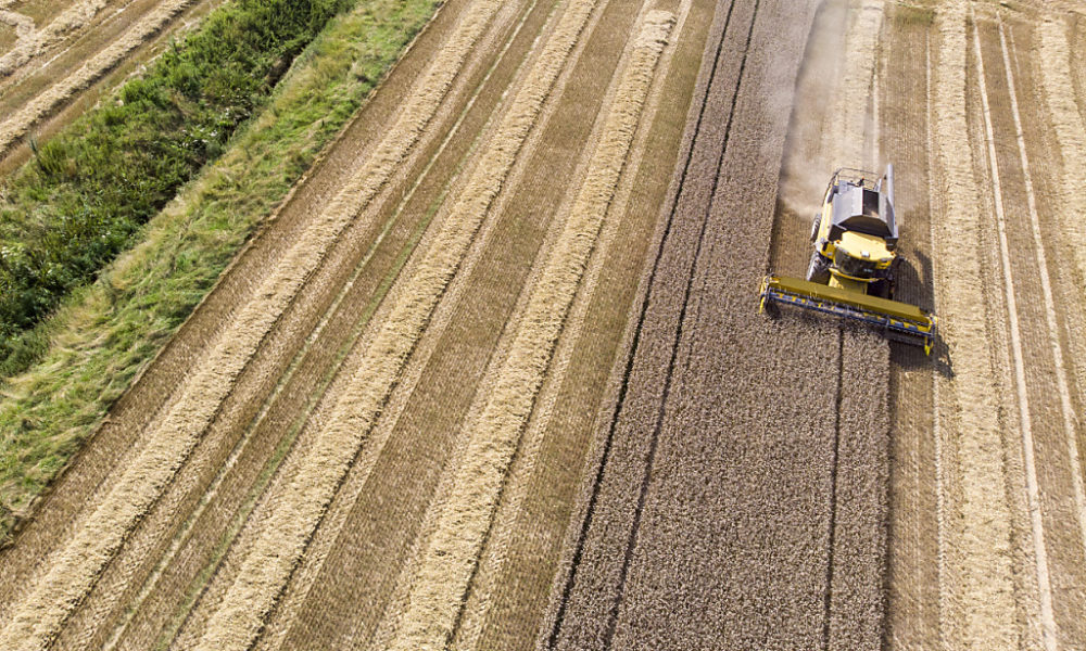 Une année très contrastée pour l’agriculture suisse Une année très contrastée pour l’agriculture suisse