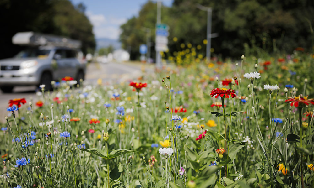 Le Conseil mondial de la biodiversité appelle à des changements Le Conseil mondial de la biodiversité appelle à des changements