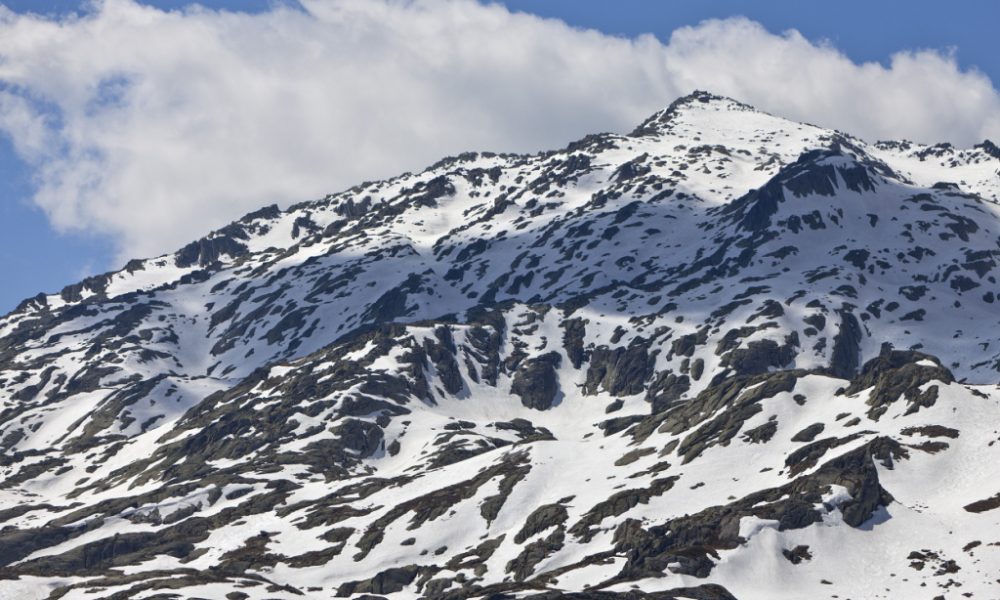 Le printemps commence toujours plus tôt en montagne