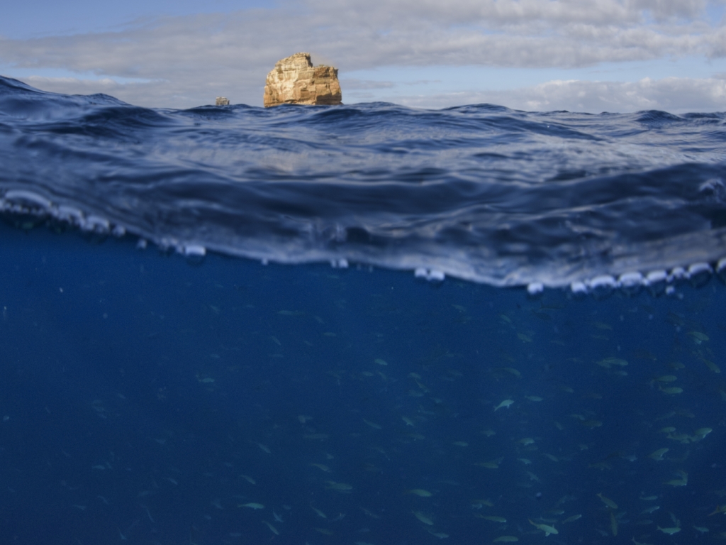 Oceans near record warmth even before the return of El Niño